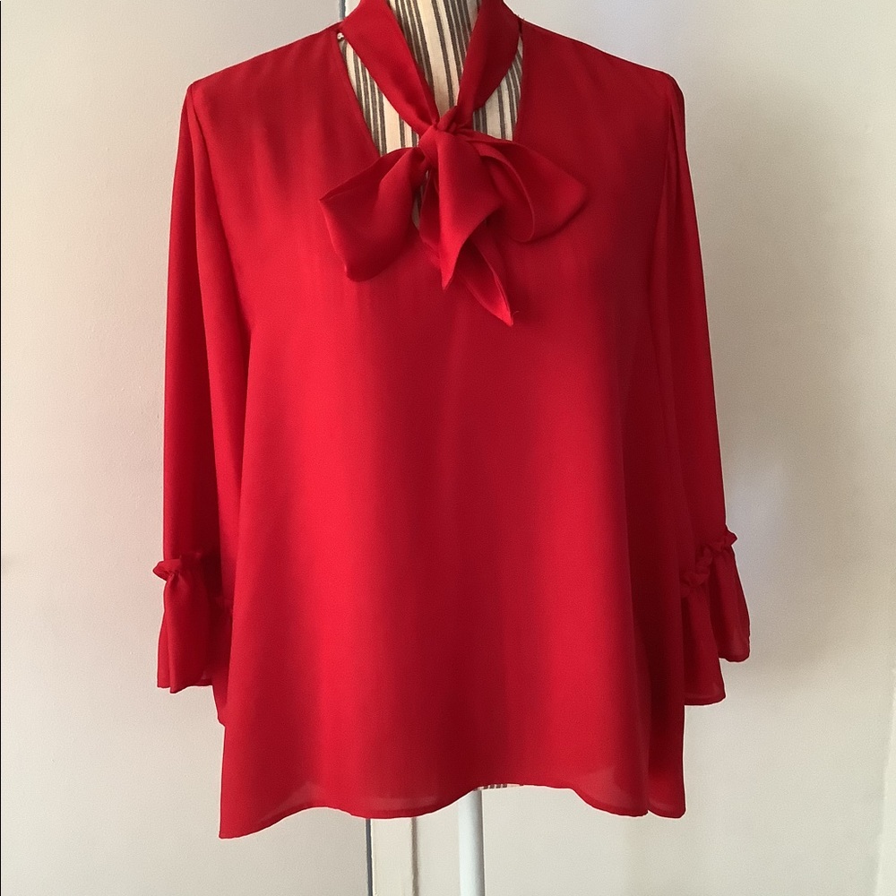 Red Zara Blouse
